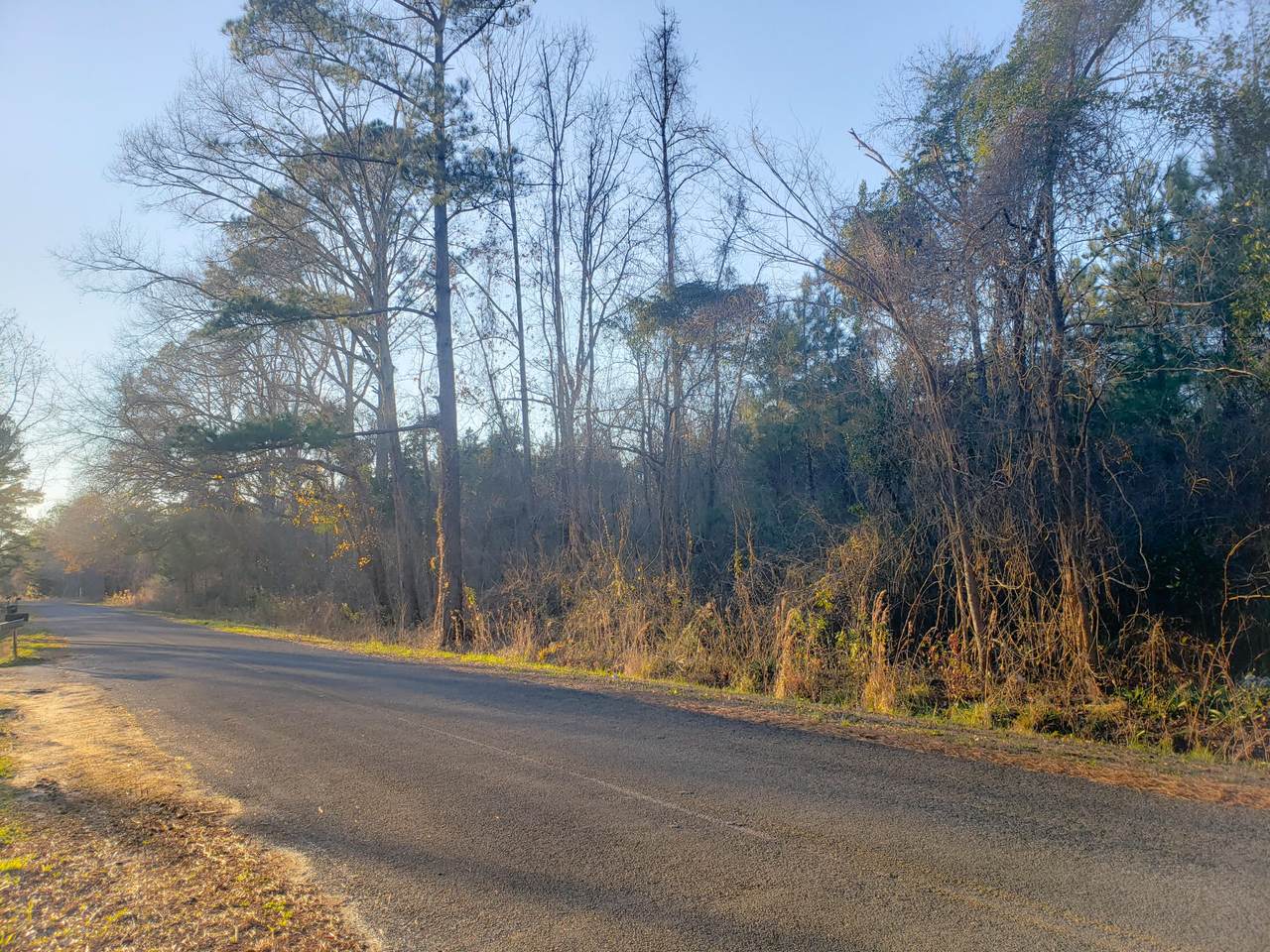 00 Murraysville Road - Photo 1