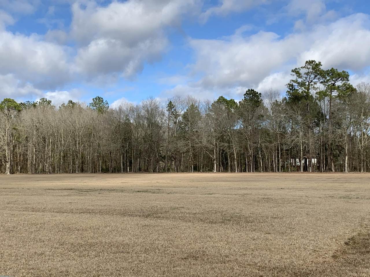1229 Bojo Circle - Photo 1