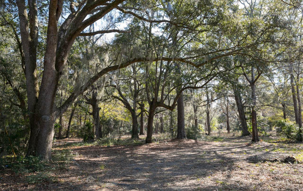 2591 Bohicket Road - Photo 1
