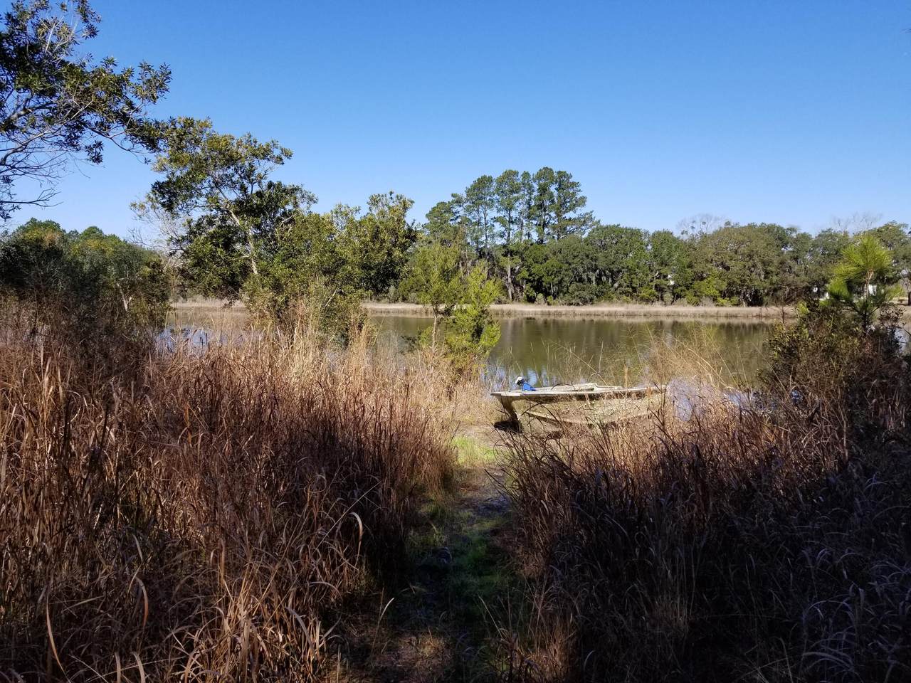 0 Beagle Club Road - Photo 1