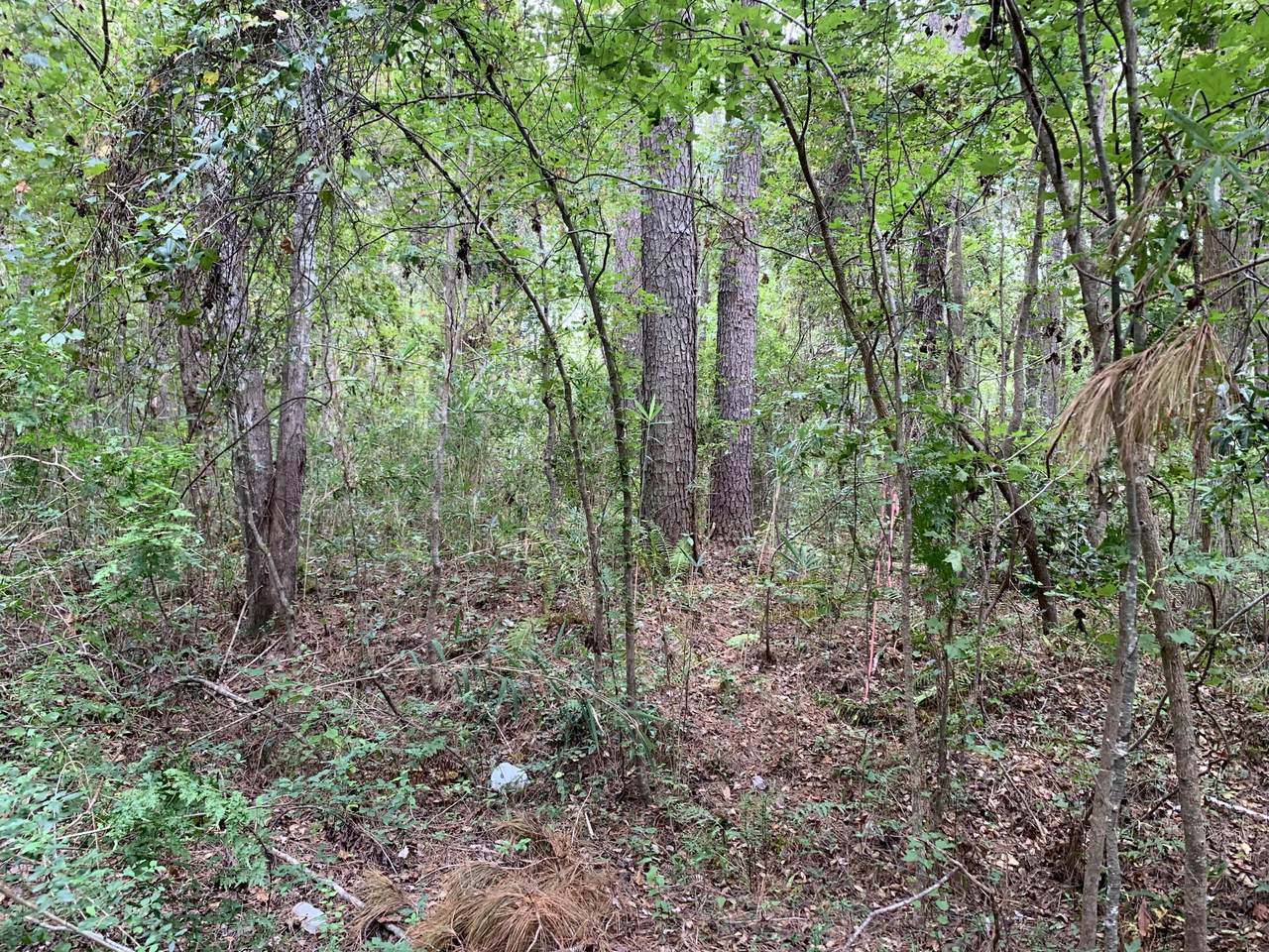 0000 University Dr. - Photo 1