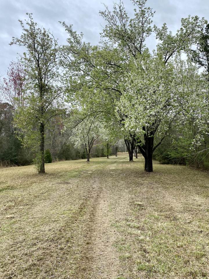 5307 Charleston Highway - Photo 1