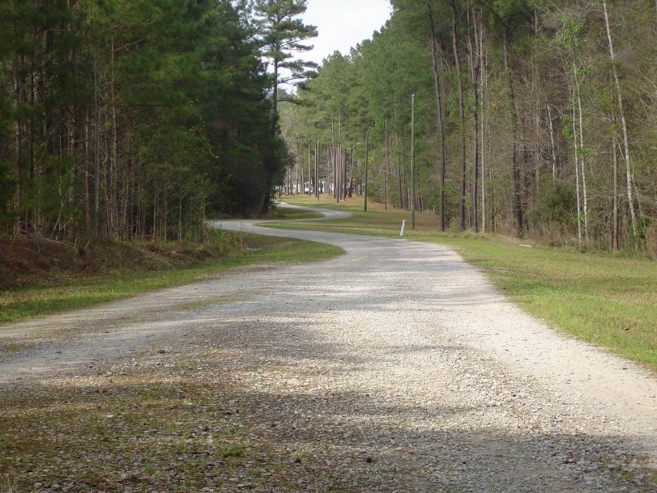 6215 Beaver Dam Rd. - Photo 1