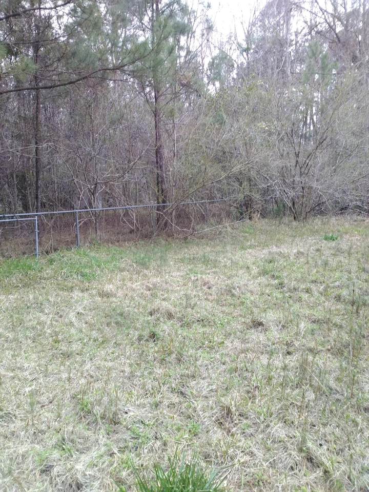 10519 Highway 17 - Photo 1