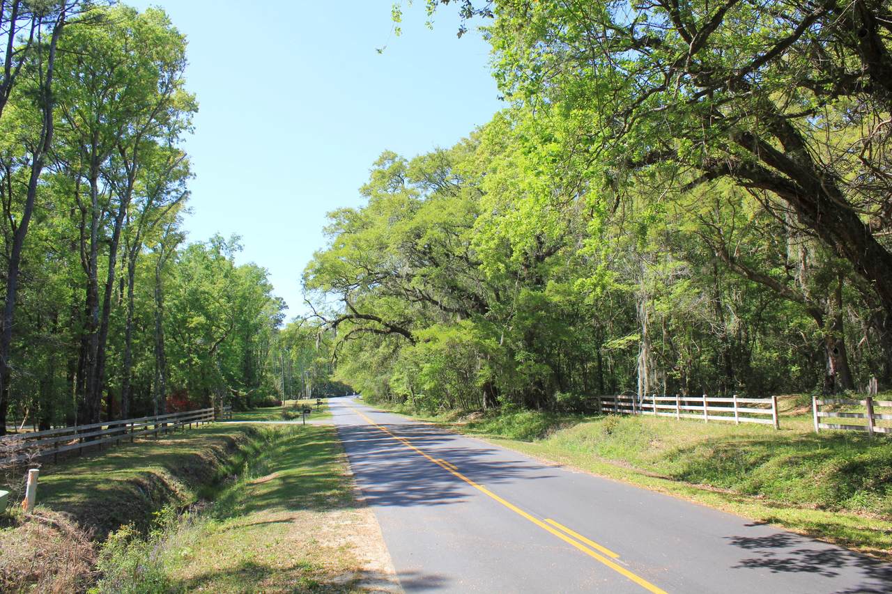 1137 15 Mile Landing - Photo 1