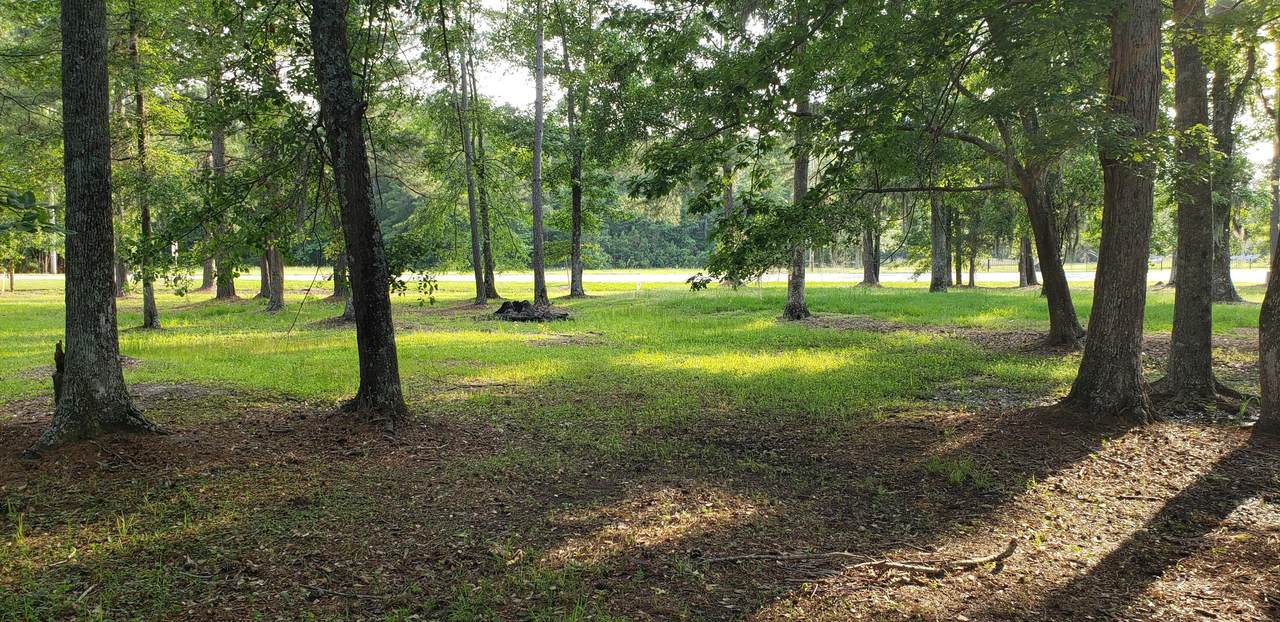 1426 Pinopolis Road - Photo 1
