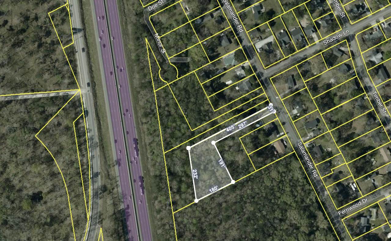 9065 Salamander Road - Photo 1