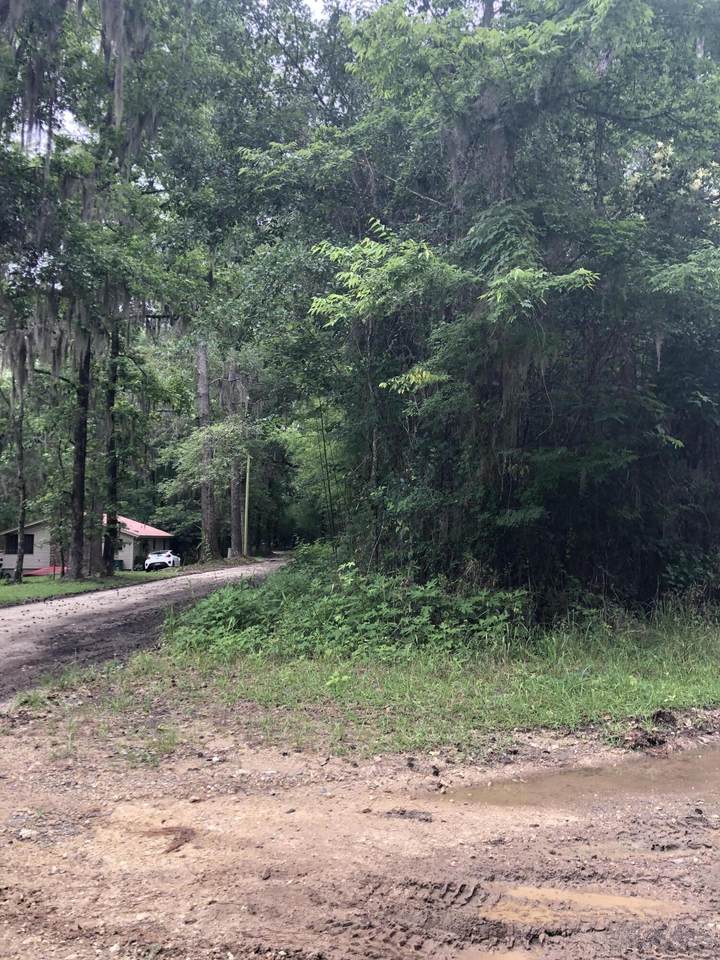 Lot 1 Chessey Creek Road - Photo 1