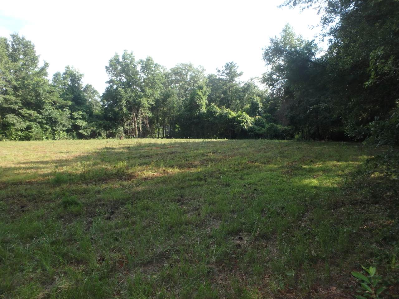 Tbd Zahler St W Street - Photo 1