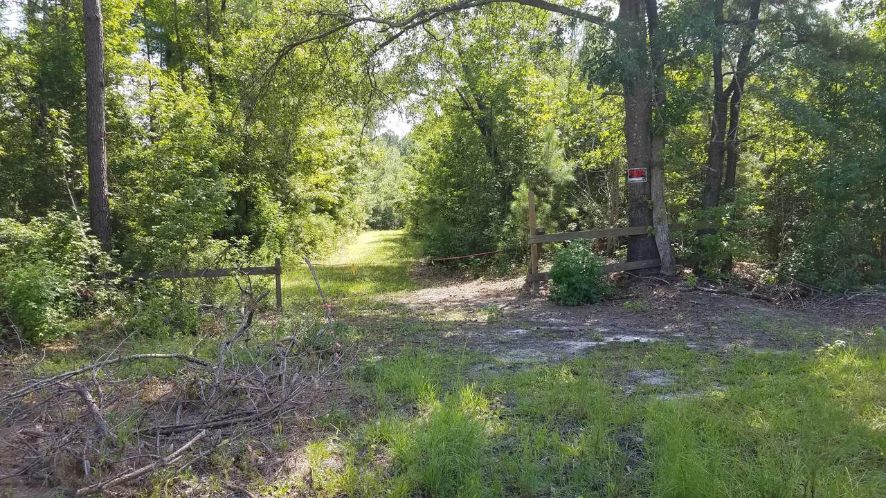 8020 Cane Branch Road - Photo 1