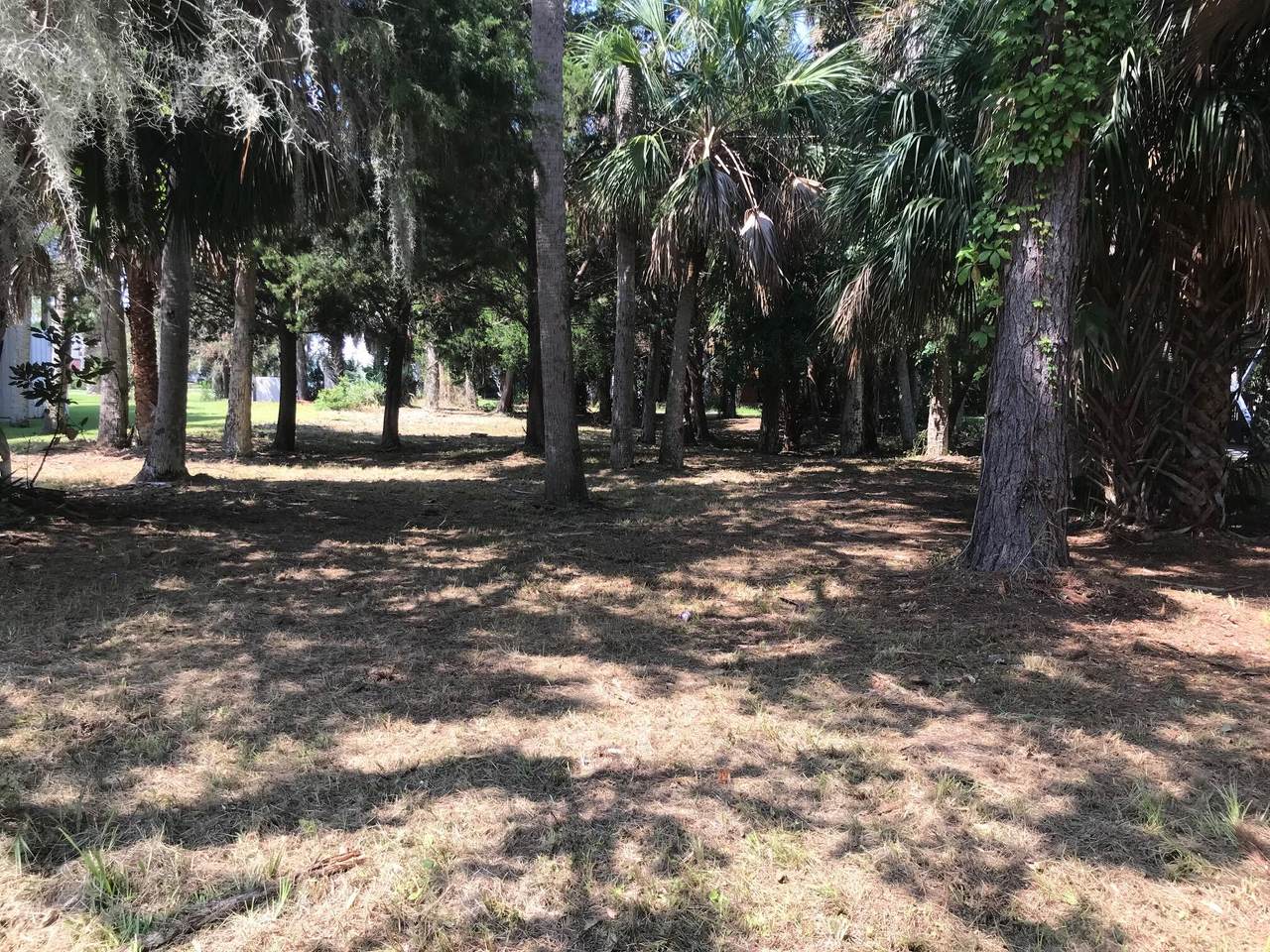 3304 Myrtle Street - Photo 1