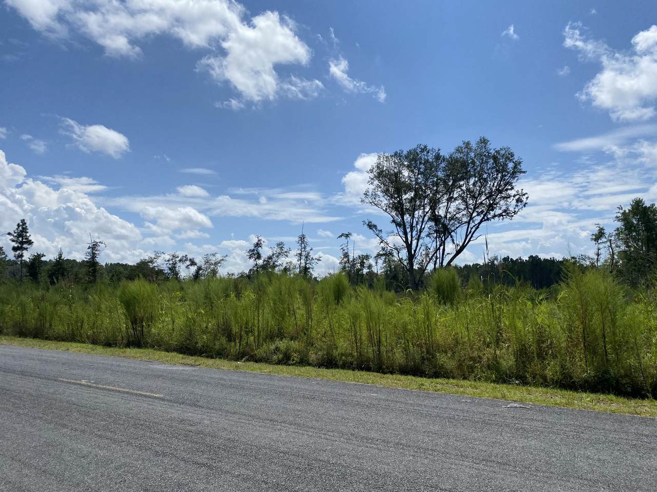 0 Wesley Grove Road - Photo 1