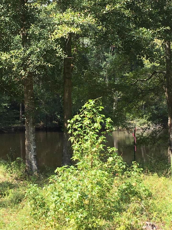 0 Black Water Trail - Photo 1