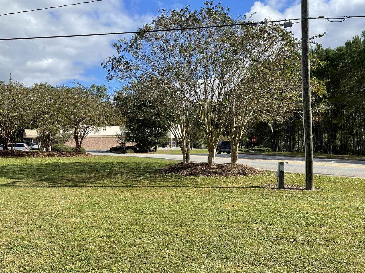 207 Eddie Chasteen Drive - Photo 1