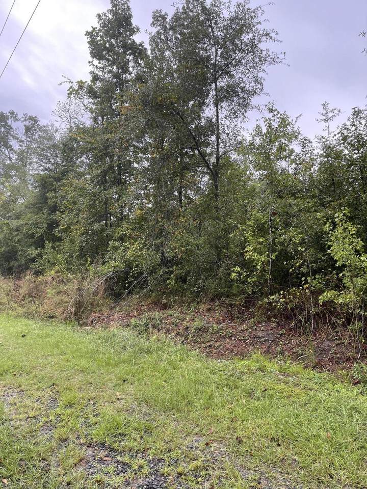 98 Alonzo Road - Photo 1