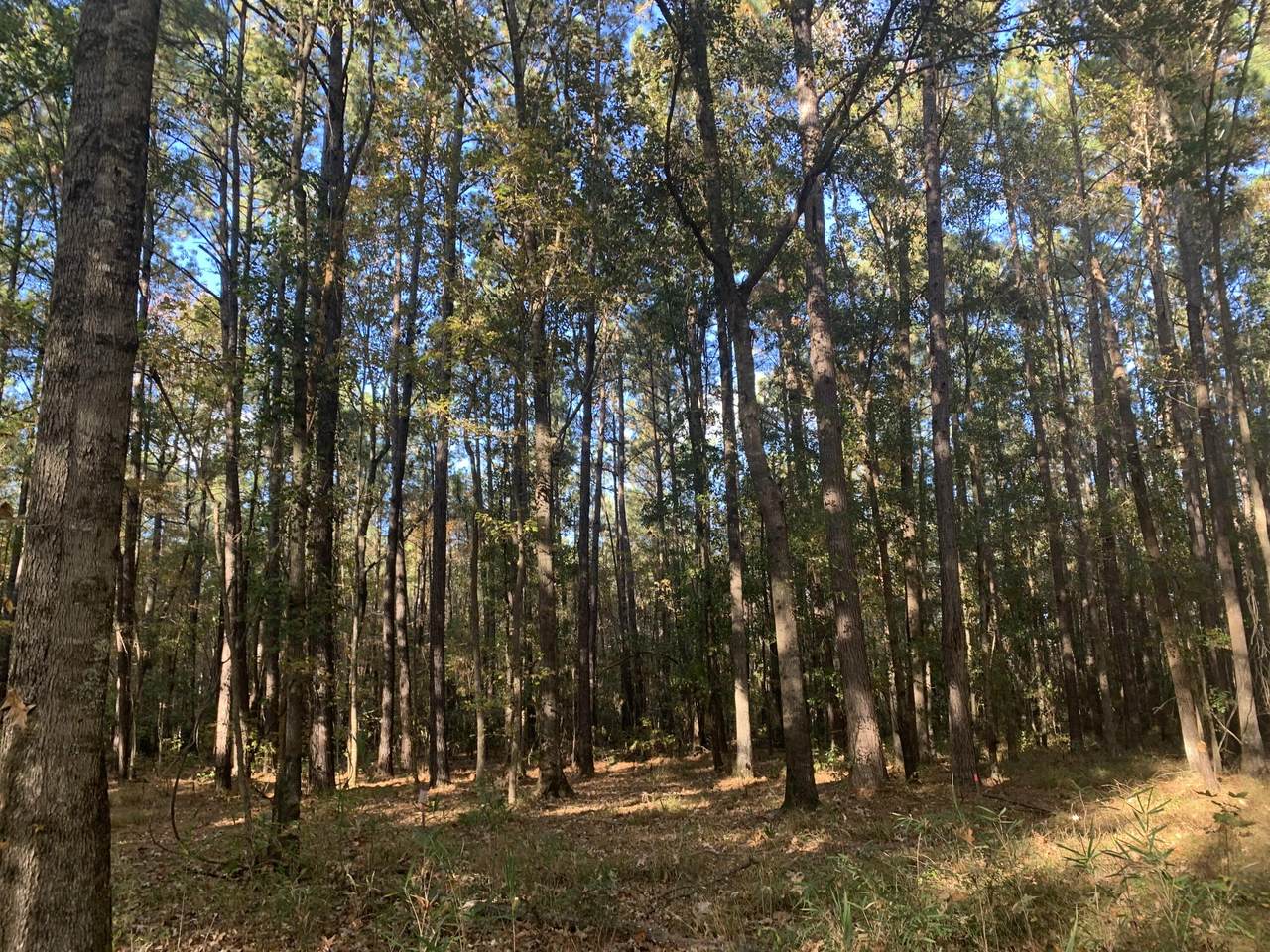 00 Murraysville Road - Photo 1