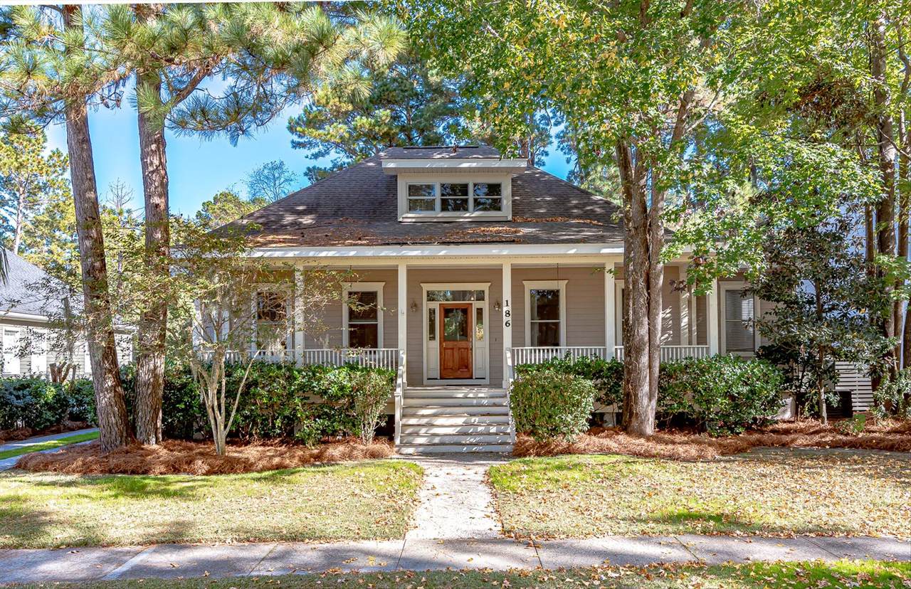186 Corn Planters Street - Photo 1