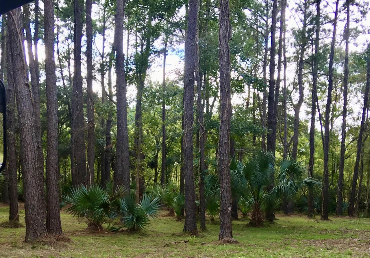 4105 Nesting Egret Drive - Photo 1