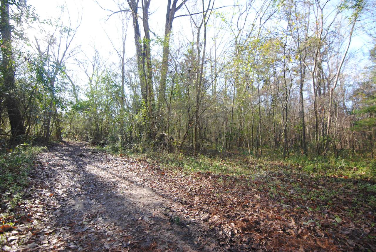 0 Twin Lakes Drive - Photo 1