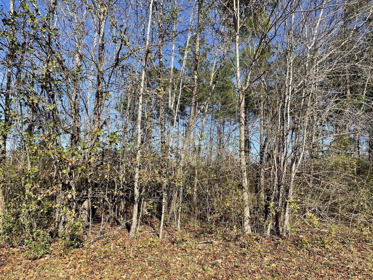 4 Dotson Street - Photo 1