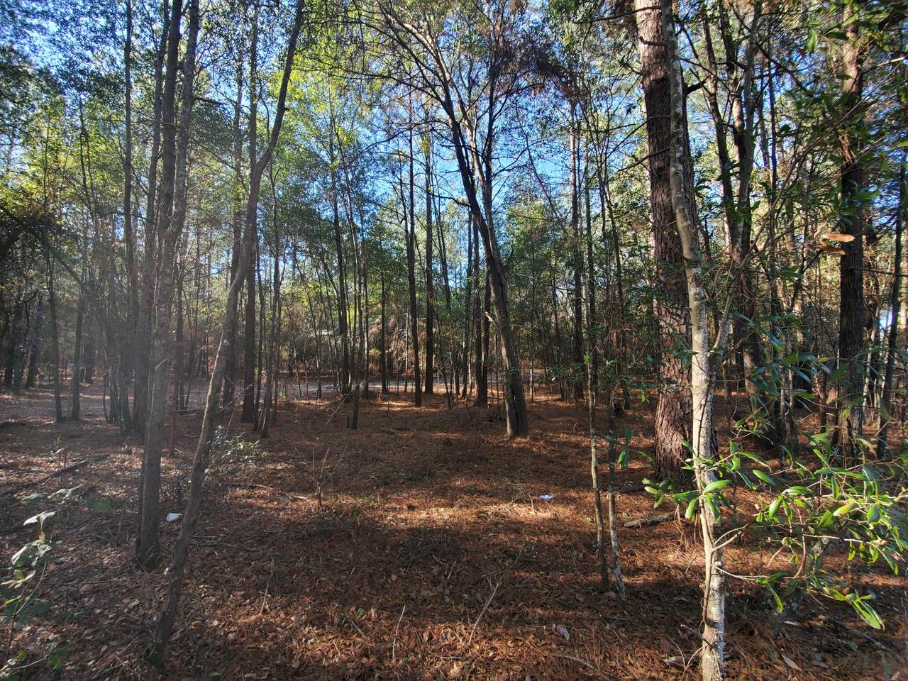 0 Festival Trail Road - Photo 1