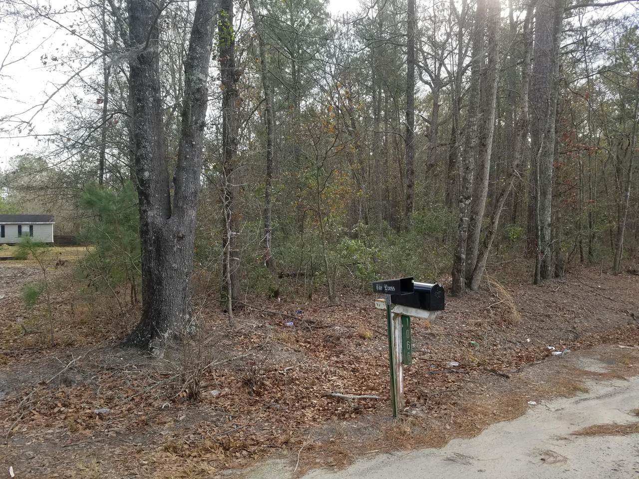 000 Maple Ridge Road - Photo 1