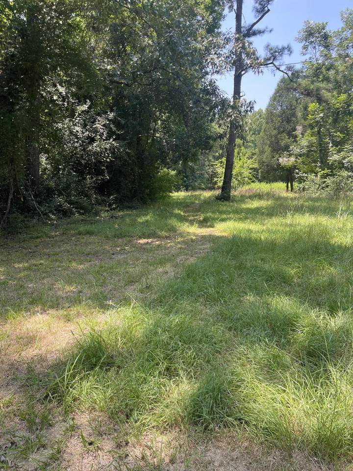 0 Old Hwy 52 - Photo 1