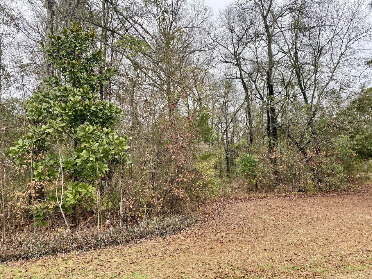 104 Chapel Hill Drive - Photo 1