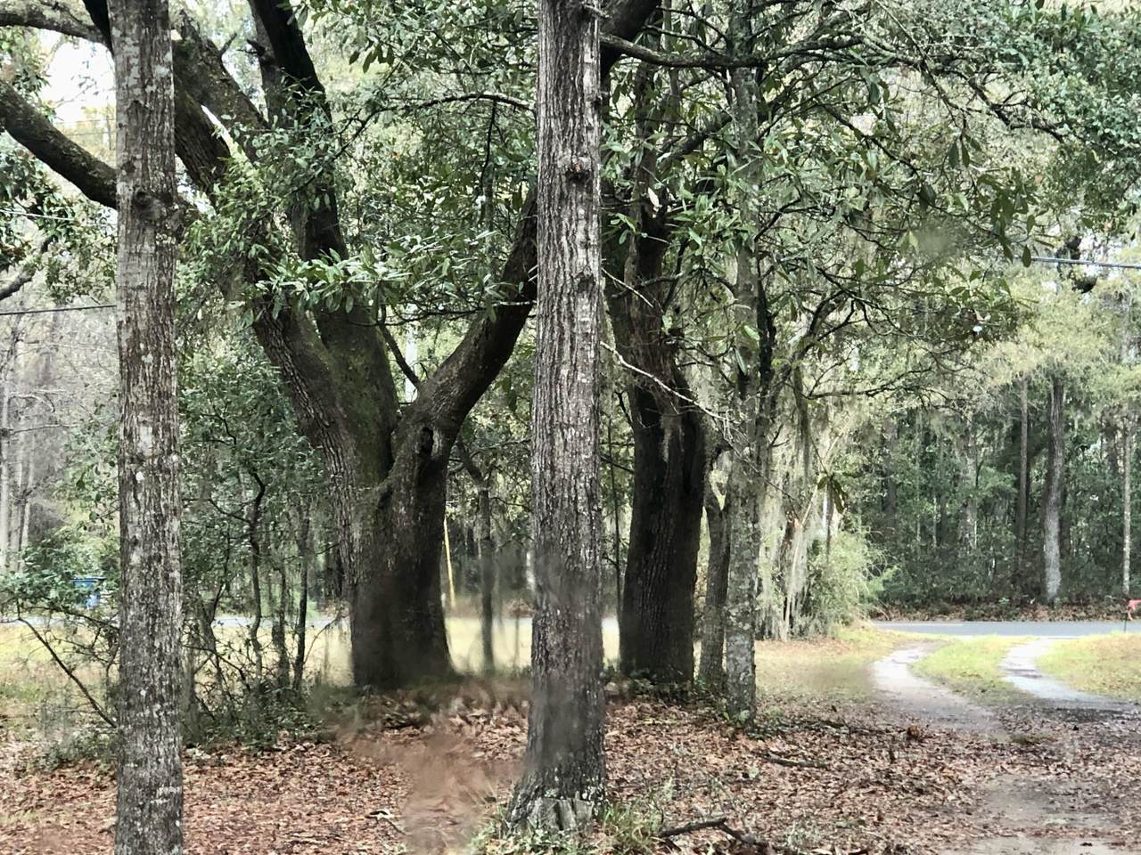 0 Duck Pond Road - Photo 1