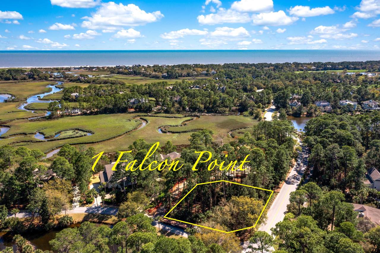 1 Falcon Point Road - Photo 1