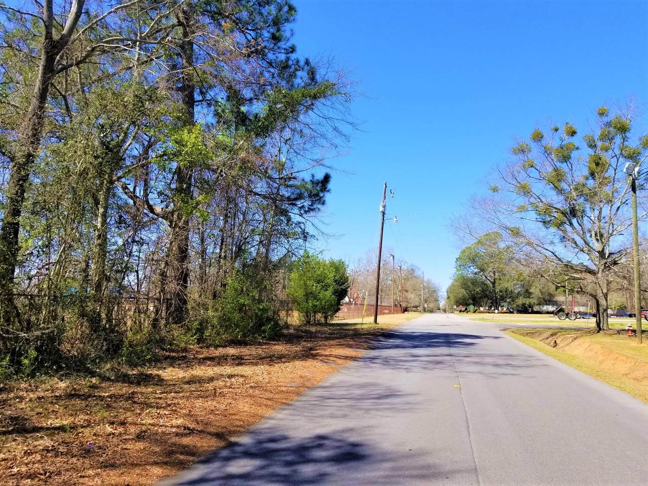 0 Corner Dantzler St & Butler St - Photo 1