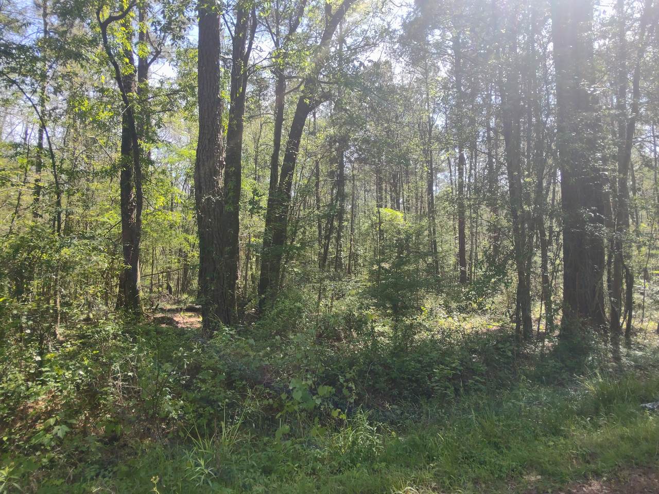 509 Twin Lake Drive - Photo 1