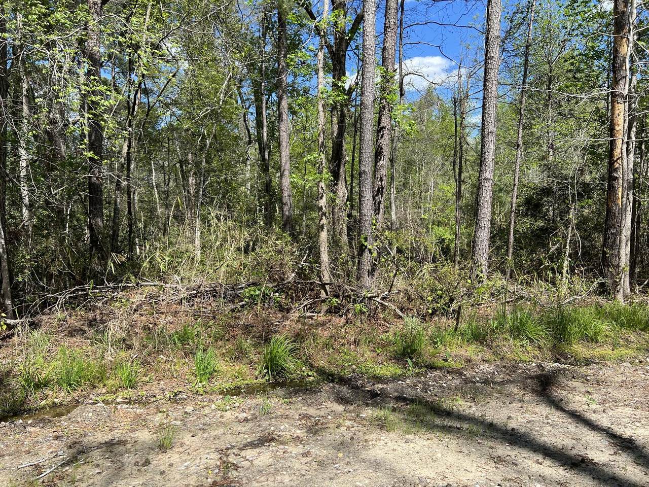 353 Seigler Drive - Photo 1