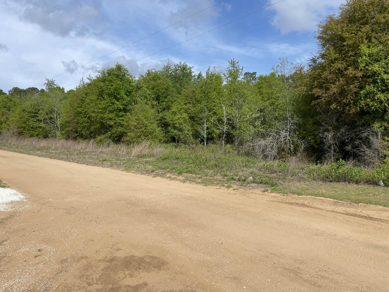 Tbd Goslin Pond Road - Photo 1