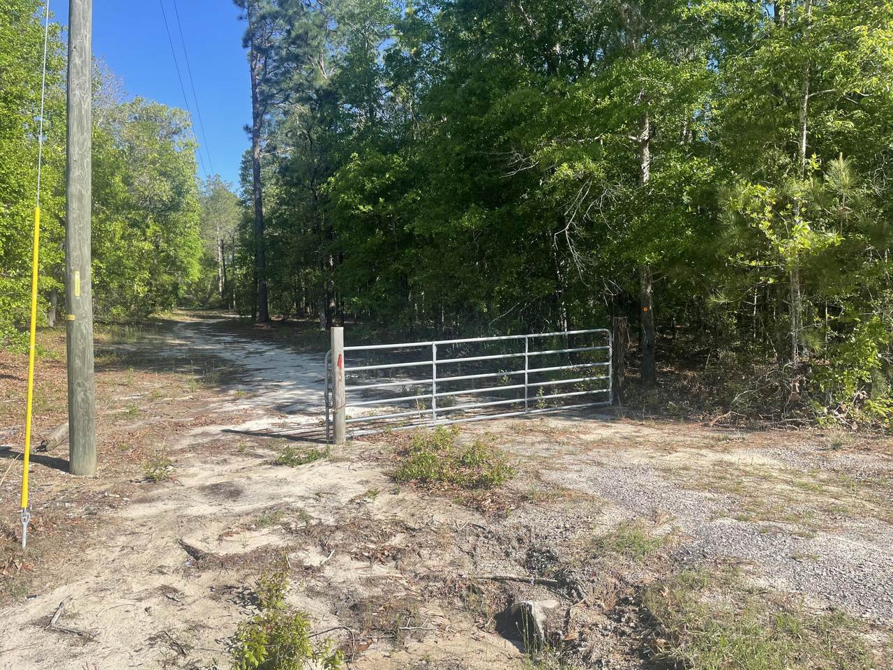 316 Oglesby Drive - Photo 1