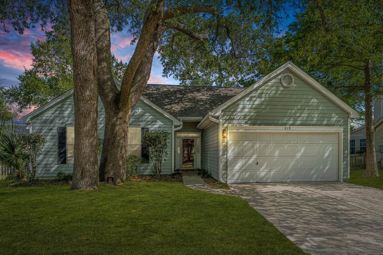 315 Old South Way - Photo 1