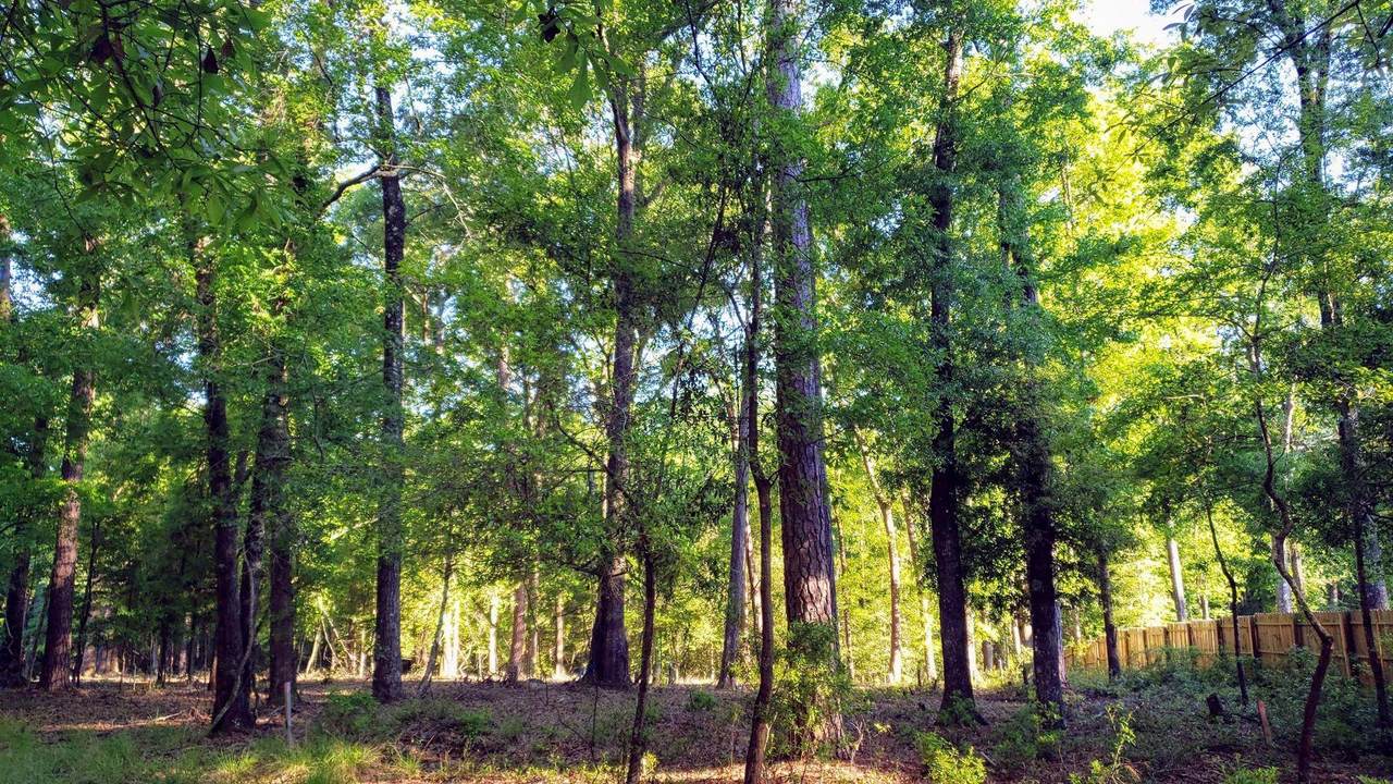 240 Plantation Lane - Photo 1