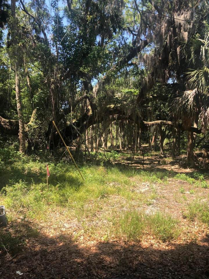 920 Cheehaw Street - Photo 1