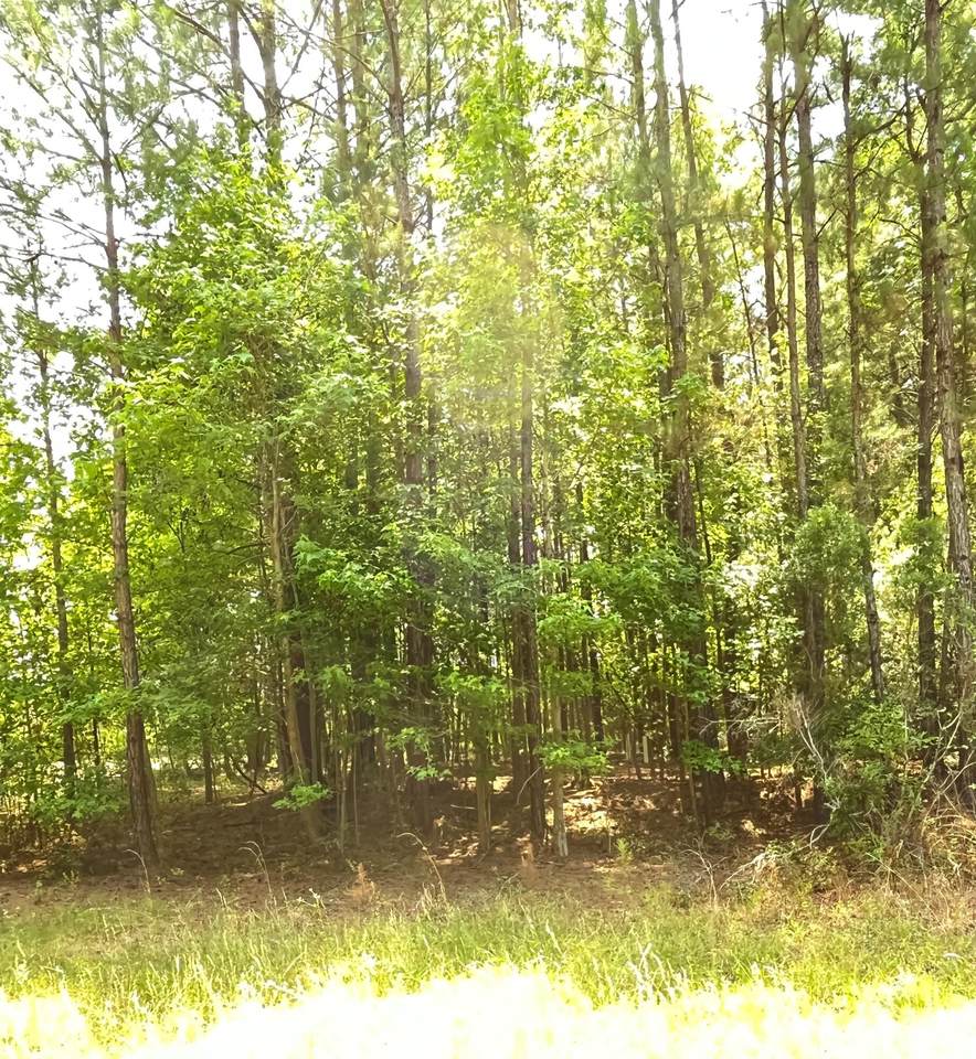 0 David Street - Photo 1