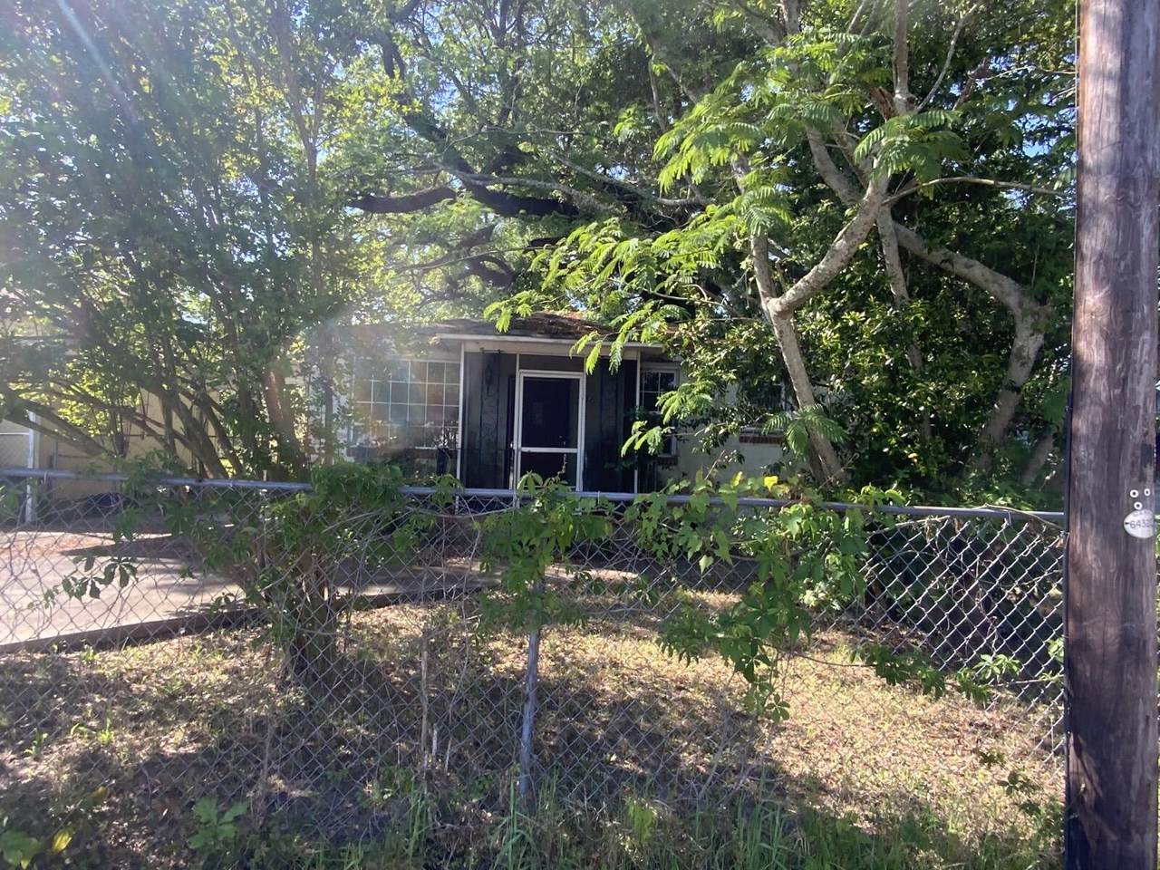 940 Sycamore Avenue - Photo 1
