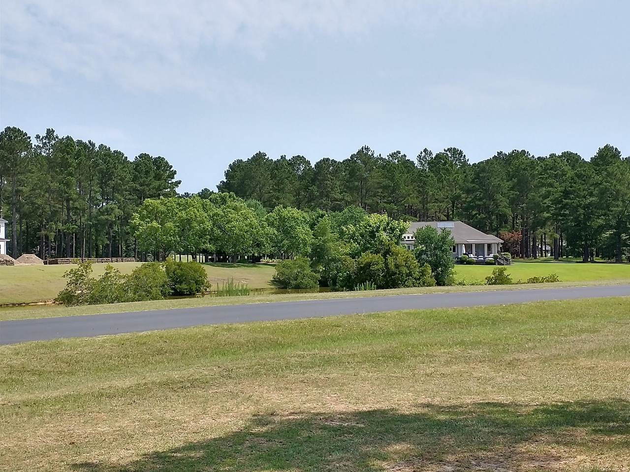 421 Pinelake Court - Photo 1