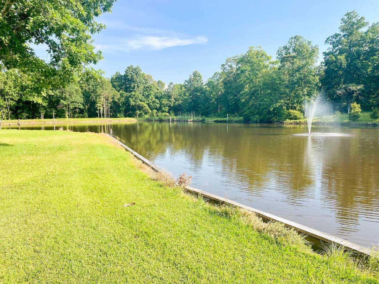 1229 Bojo Circle - Photo 1