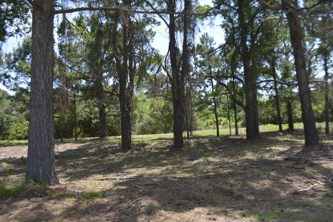 40 Blackbear Dr - Photo 1