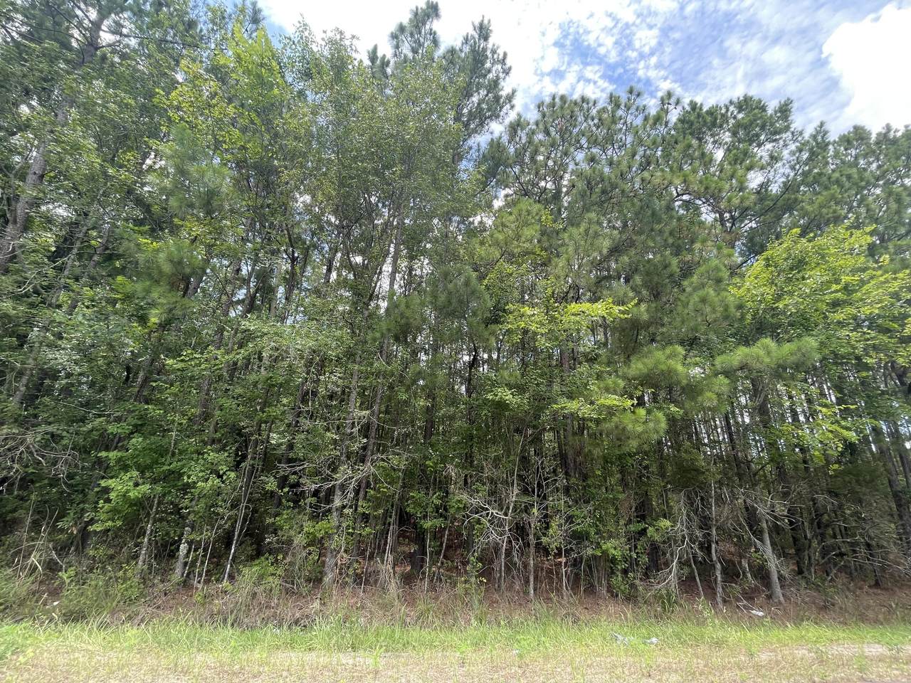 0 Old Dairy Road - Photo 1