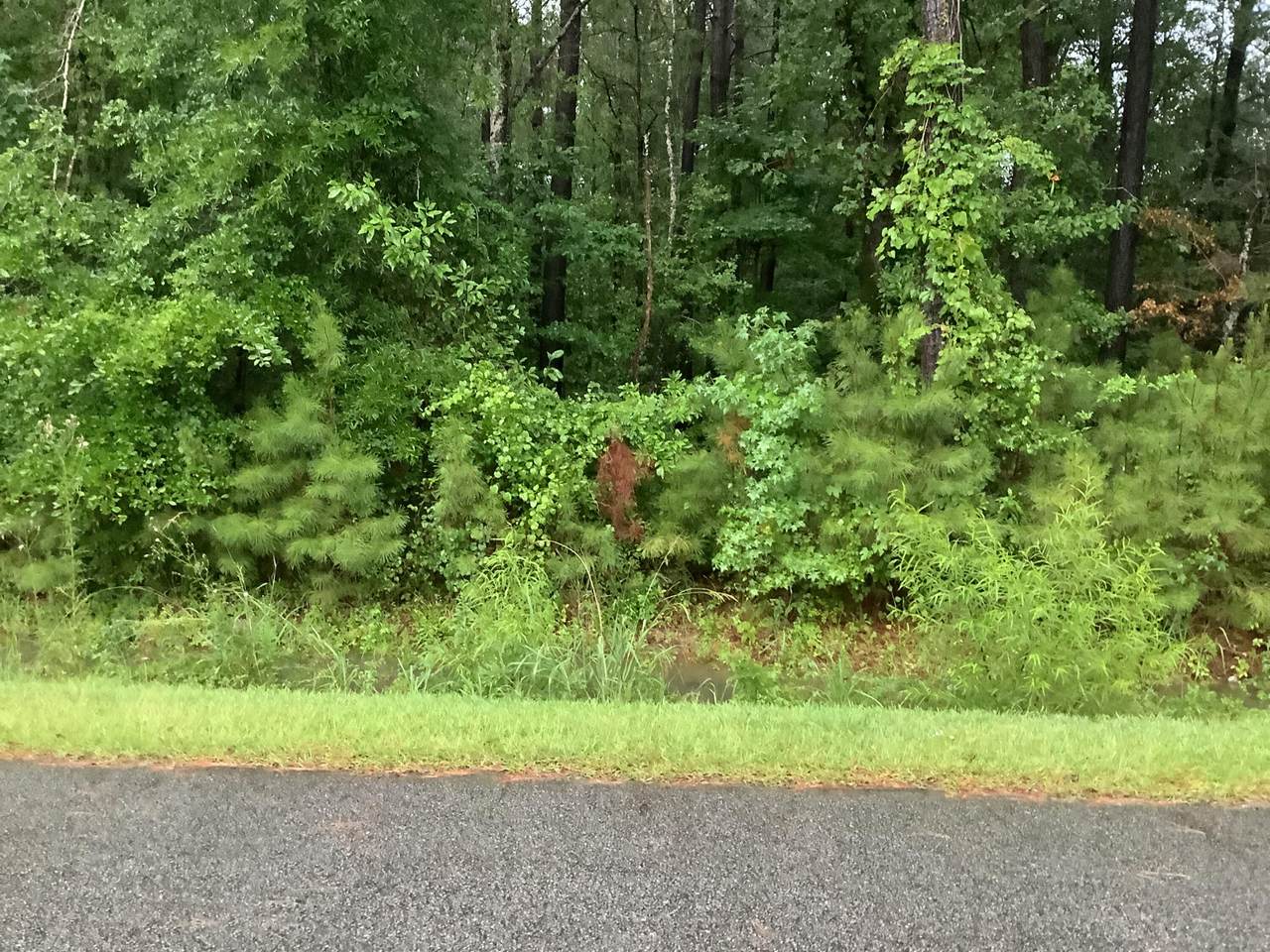O Wilder Road - Photo 1