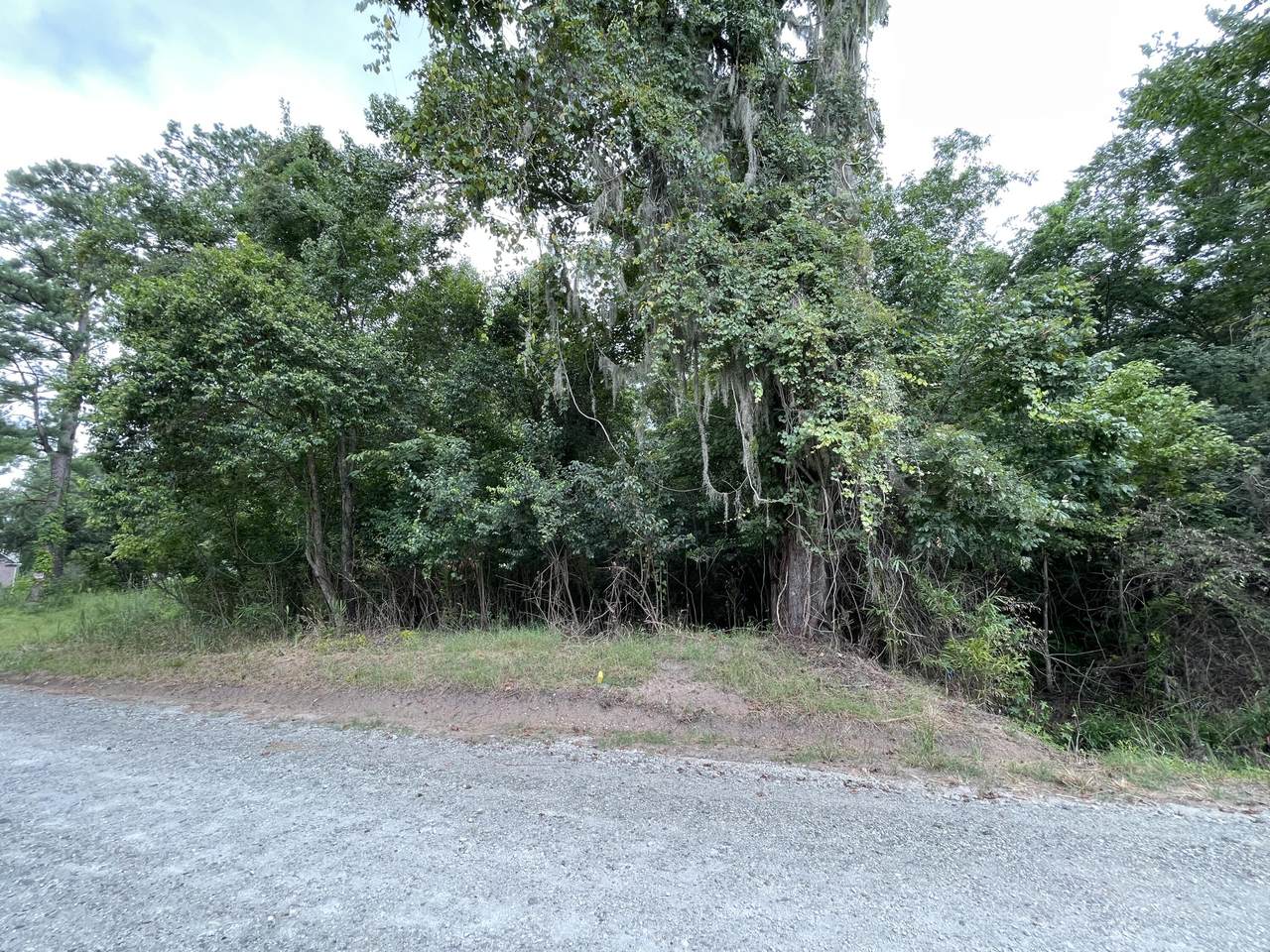0 Old Mt Holly Rd - Photo 1