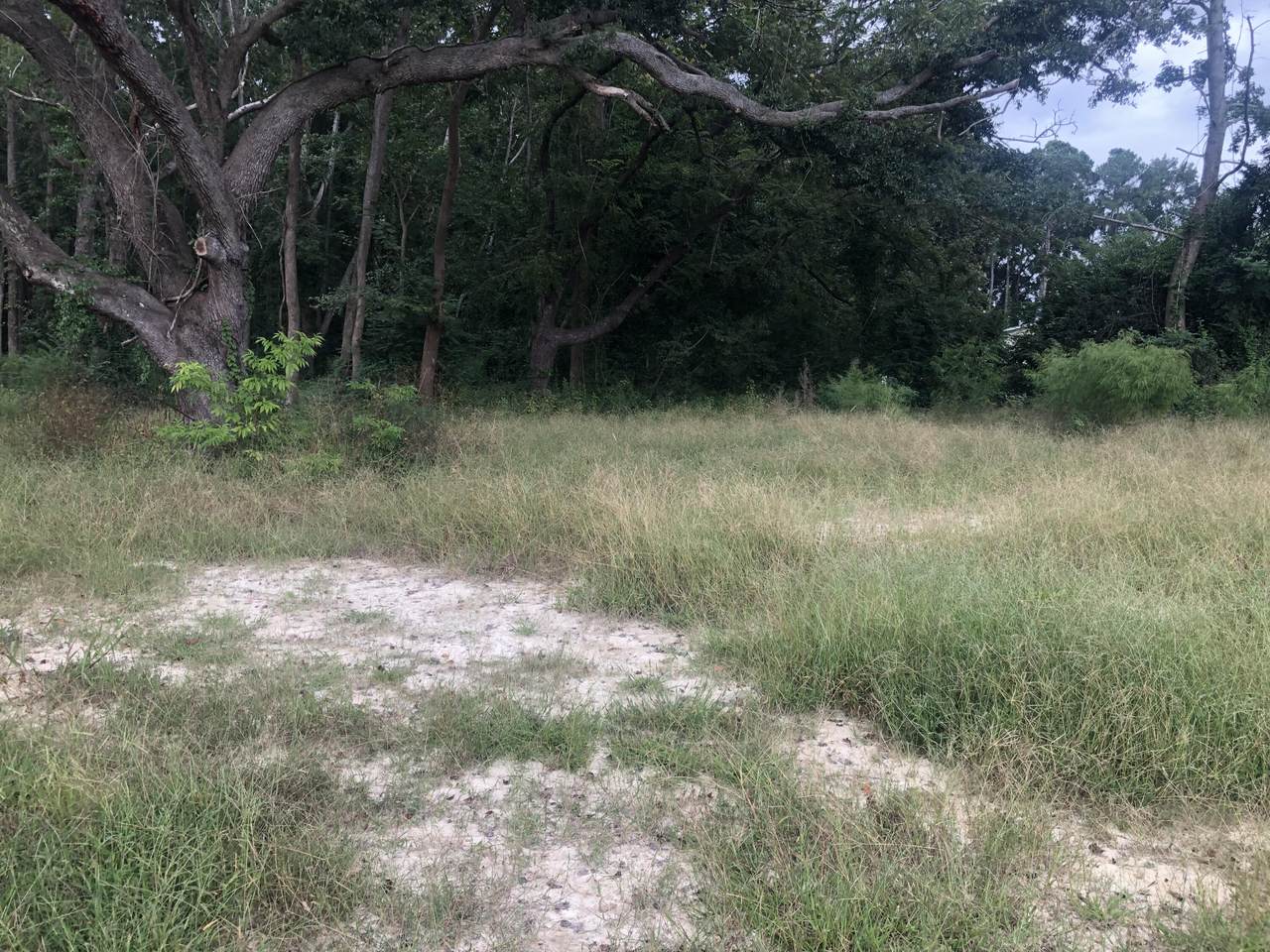 0 College Park Road - Photo 1