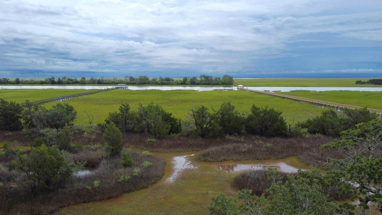 9665 Two Pines Road - Photo 1