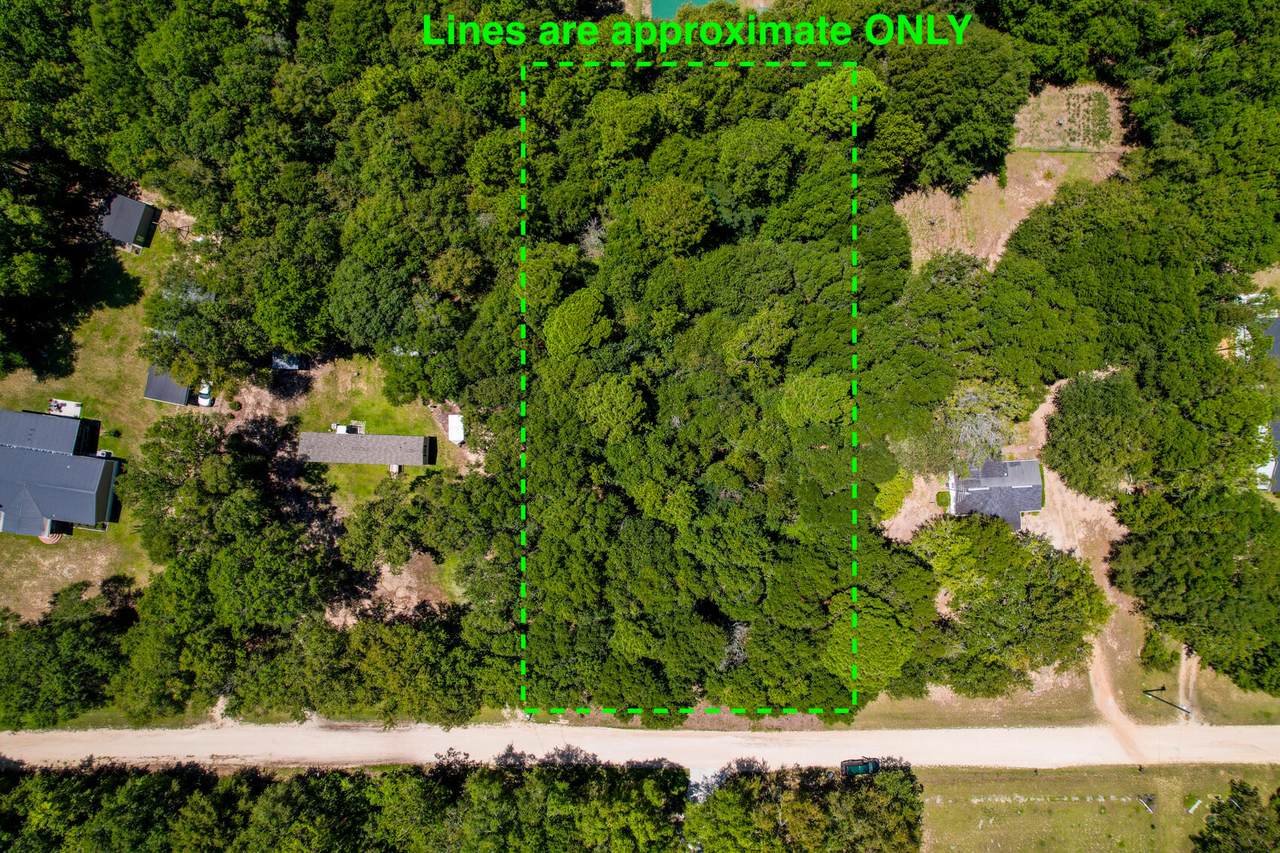 1227 Birch Drive - Photo 1