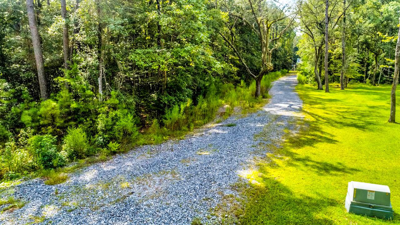 6317 Button Bush Drive - Photo 1